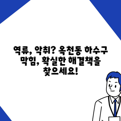 강원도 강릉시 옥천동 하수구막힘 | 가격 | 비용 | 기름제거 | 싱크대 | 변기 | 세면대 | 역류 | 냄새차단 | 2024 후기