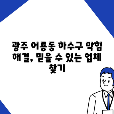 광주시 광산구 어룡동 하수구막힘 | 가격 | 비용 | 기름제거 | 싱크대 | 변기 | 세면대 | 역류 | 냄새차단 | 2024 후기