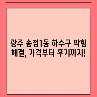 광주시 광산구 송정1동 하수구막힘 | 가격 | 비용 | 기름제거 | 싱크대 | 변기 | 세면대 | 역류 | 냄새차단 | 2024 후기