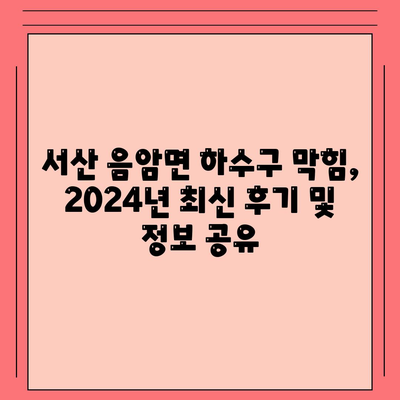 충청남도 서산시 음암면 하수구막힘 | 가격 | 비용 | 기름제거 | 싱크대 | 변기 | 세면대 | 역류 | 냄새차단 | 2024 후기