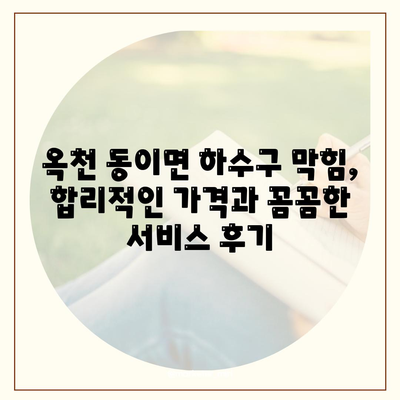 충청북도 옥천군 동이면 하수구막힘 | 가격 | 비용 | 기름제거 | 싱크대 | 변기 | 세면대 | 역류 | 냄새차단 | 2024 후기