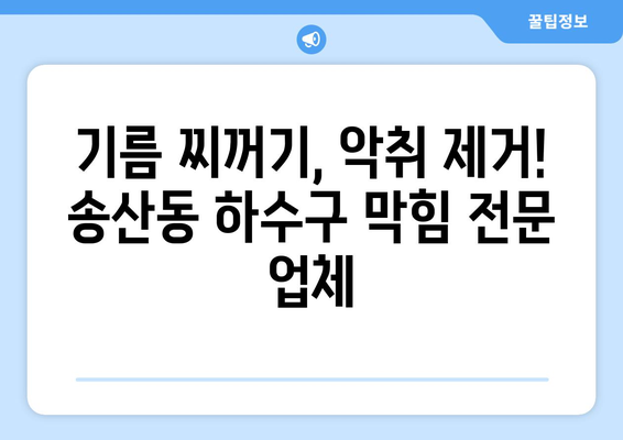 제주도 서귀포시 송산동 하수구막힘 | 가격 | 비용 | 기름제거 | 싱크대 | 변기 | 세면대 | 역류 | 냄새차단 | 2024 후기