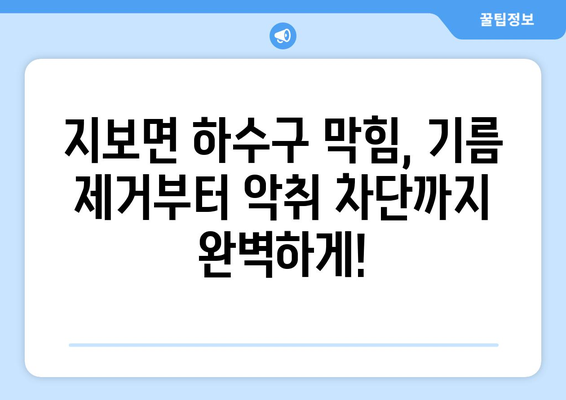 경상북도 예천군 지보면 하수구막힘 | 가격 | 비용 | 기름제거 | 싱크대 | 변기 | 세면대 | 역류 | 냄새차단 | 2024 후기