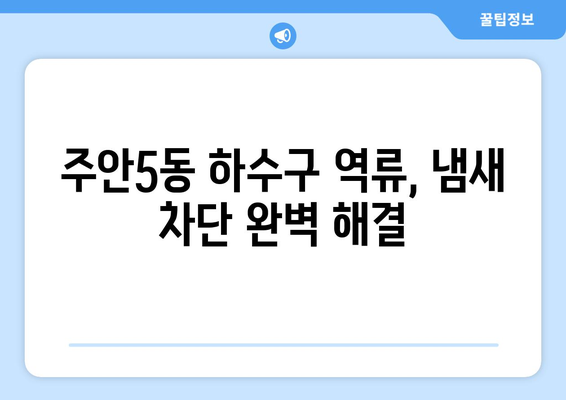 인천시 미추홀구 주안5동 하수구막힘 | 가격 | 비용 | 기름제거 | 싱크대 | 변기 | 세면대 | 역류 | 냄새차단 | 2024 후기