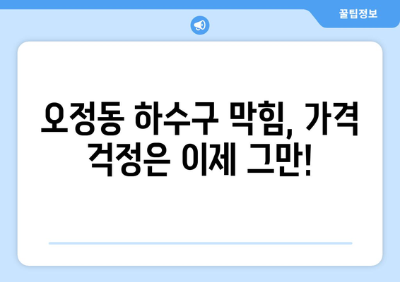 대전시 대덕구 오정동 하수구막힘 | 가격 | 비용 | 기름제거 | 싱크대 | 변기 | 세면대 | 역류 | 냄새차단 | 2024 후기