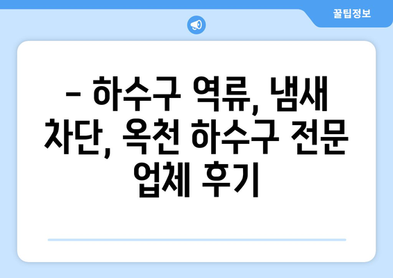 경기도 양평군 옥천면 하수구막힘 | 가격 | 비용 | 기름제거 | 싱크대 | 변기 | 세면대 | 역류 | 냄새차단 | 2024 후기