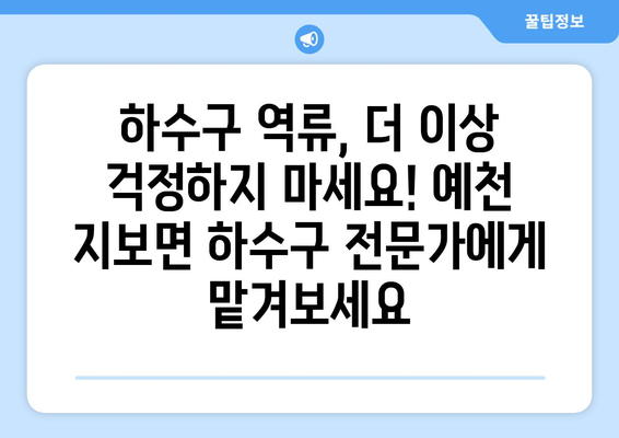 경상북도 예천군 지보면 하수구막힘 | 가격 | 비용 | 기름제거 | 싱크대 | 변기 | 세면대 | 역류 | 냄새차단 | 2024 후기