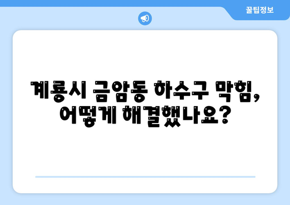 충청남도 계룡시 금암동 하수구막힘 | 가격 | 비용 | 기름제거 | 싱크대 | 변기 | 세면대 | 역류 | 냄새차단 | 2024 후기