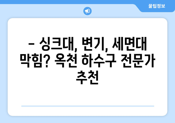 경기도 양평군 옥천면 하수구막힘 | 가격 | 비용 | 기름제거 | 싱크대 | 변기 | 세면대 | 역류 | 냄새차단 | 2024 후기