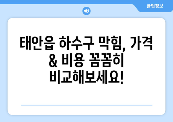 충청남도 태안군 태안읍 하수구막힘 | 가격 | 비용 | 기름제거 | 싱크대 | 변기 | 세면대 | 역류 | 냄새차단 | 2024 후기