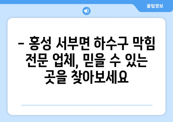 충청남도 홍성군 서부면 하수구막힘 | 가격 | 비용 | 기름제거 | 싱크대 | 변기 | 세면대 | 역류 | 냄새차단 | 2024 후기