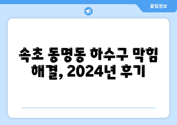 강원도 속초시 동명동 하수구막힘 | 가격 | 비용 | 기름제거 | 싱크대 | 변기 | 세면대 | 역류 | 냄새차단 | 2024 후기