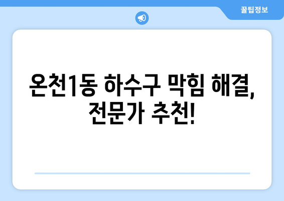 대전시 유성구 온천1동 하수구막힘 | 가격 | 비용 | 기름제거 | 싱크대 | 변기 | 세면대 | 역류 | 냄새차단 | 2024 후기