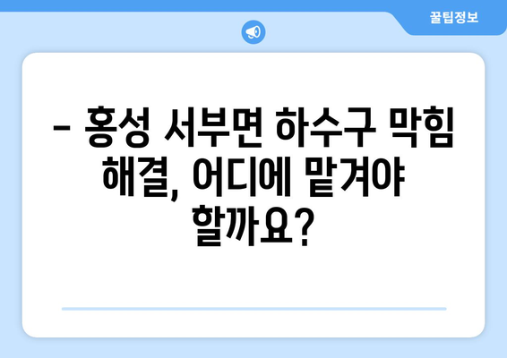 충청남도 홍성군 서부면 하수구막힘 | 가격 | 비용 | 기름제거 | 싱크대 | 변기 | 세면대 | 역류 | 냄새차단 | 2024 후기