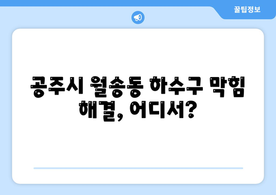 충청남도 공주시 월송동 하수구막힘 | 가격 | 비용 | 기름제거 | 싱크대 | 변기 | 세면대 | 역류 | 냄새차단 | 2024 후기