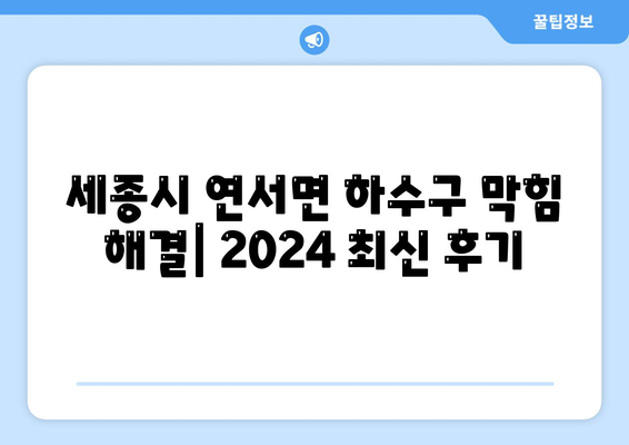 세종시 세종특별자치시 연서면 하수구막힘 | 가격 | 비용 | 기름제거 | 싱크대 | 변기 | 세면대 | 역류 | 냄새차단 | 2024 후기