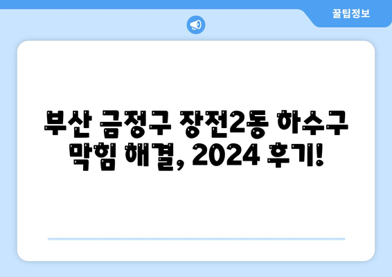 부산시 금정구 장전2동 하수구막힘 | 가격 | 비용 | 기름제거 | 싱크대 | 변기 | 세면대 | 역류 | 냄새차단 | 2024 후기