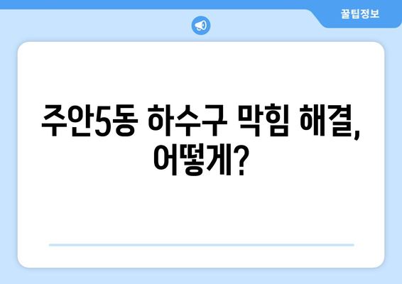 인천시 미추홀구 주안5동 하수구막힘 | 가격 | 비용 | 기름제거 | 싱크대 | 변기 | 세면대 | 역류 | 냄새차단 | 2024 후기