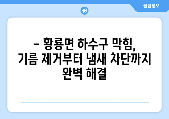 전라남도 장성군 황룡면 하수구막힘 | 가격 | 비용 | 기름제거 | 싱크대 | 변기 | 세면대 | 역류 | 냄새차단 | 2024 후기