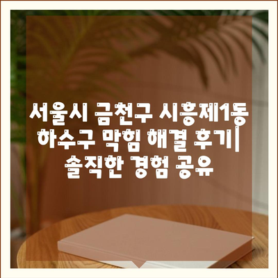 서울시 금천구 시흥제1동 하수구막힘 | 가격 | 비용 | 기름제거 | 싱크대 | 변기 | 세면대 | 역류 | 냄새차단 | 2024 후기