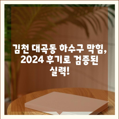 경상북도 김천시 대곡동 하수구막힘 | 가격 | 비용 | 기름제거 | 싱크대 | 변기 | 세면대 | 역류 | 냄새차단 | 2024 후기