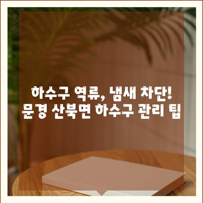 경상북도 문경시 산북면 하수구막힘 | 가격 | 비용 | 기름제거 | 싱크대 | 변기 | 세면대 | 역류 | 냄새차단 | 2024 후기