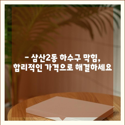 인천시 부평구 삼산2동 하수구막힘 | 가격 | 비용 | 기름제거 | 싱크대 | 변기 | 세면대 | 역류 | 냄새차단 | 2024 후기