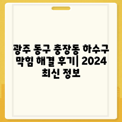 광주시 동구 충장동 하수구막힘 | 가격 | 비용 | 기름제거 | 싱크대 | 변기 | 세면대 | 역류 | 냄새차단 | 2024 후기