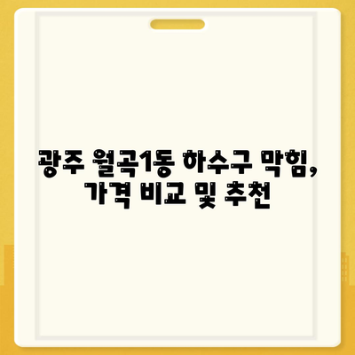 광주시 광산구 월곡1동 하수구막힘 | 가격 | 비용 | 기름제거 | 싱크대 | 변기 | 세면대 | 역류 | 냄새차단 | 2024 후기