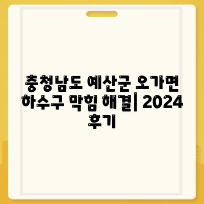 충청남도 예산군 오가면 하수구막힘 | 가격 | 비용 | 기름제거 | 싱크대 | 변기 | 세면대 | 역류 | 냄새차단 | 2024 후기