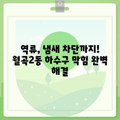 광주시 광산구 월곡2동 하수구막힘 | 가격 | 비용 | 기름제거 | 싱크대 | 변기 | 세면대 | 역류 | 냄새차단 | 2024 후기