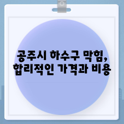 충청남도 공주시 월송동 하수구막힘 | 가격 | 비용 | 기름제거 | 싱크대 | 변기 | 세면대 | 역류 | 냄새차단 | 2024 후기