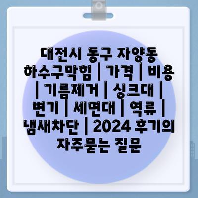 대전시 동구 자양동 하수구막힘 | 가격 | 비용 | 기름제거 | 싱크대 | 변기 | 세면대 | 역류 | 냄새차단 | 2024 후기