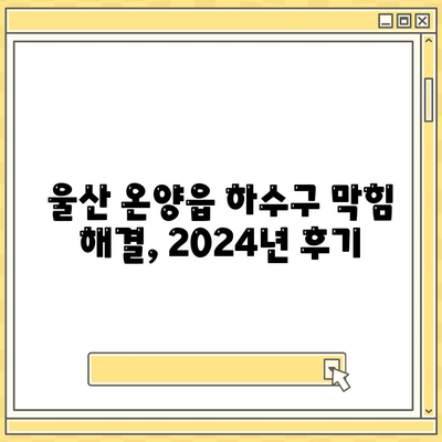 울산시 울주군 온양읍 하수구막힘 | 가격 | 비용 | 기름제거 | 싱크대 | 변기 | 세면대 | 역류 | 냄새차단 | 2024 후기