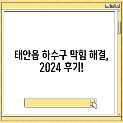 충청남도 태안군 태안읍 하수구막힘 | 가격 | 비용 | 기름제거 | 싱크대 | 변기 | 세면대 | 역류 | 냄새차단 | 2024 후기