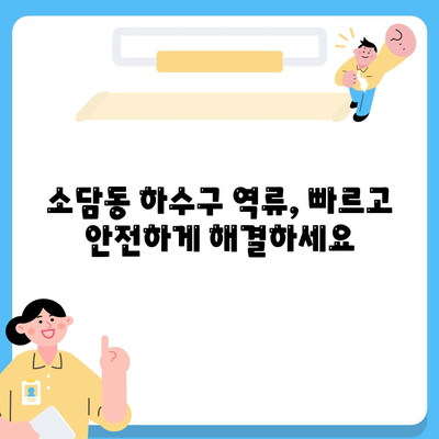 세종시 세종특별자치시 소담동 하수구막힘 | 가격 | 비용 | 기름제거 | 싱크대 | 변기 | 세면대 | 역류 | 냄새차단 | 2024 후기