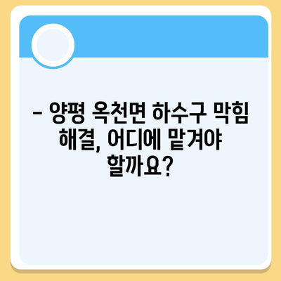 경기도 양평군 옥천면 하수구막힘 | 가격 | 비용 | 기름제거 | 싱크대 | 변기 | 세면대 | 역류 | 냄새차단 | 2024 후기