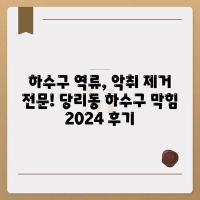 부산시 사하구 당리동 하수구막힘 | 가격 | 비용 | 기름제거 | 싱크대 | 변기 | 세면대 | 역류 | 냄새차단 | 2024 후기