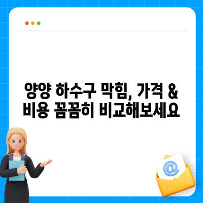 강원도 양양군 양양읍 하수구막힘 | 가격 | 비용 | 기름제거 | 싱크대 | 변기 | 세면대 | 역류 | 냄새차단 | 2024 후기