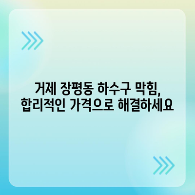 경상남도 거제시 장평동 하수구막힘 | 가격 | 비용 | 기름제거 | 싱크대 | 변기 | 세면대 | 역류 | 냄새차단 | 2024 후기