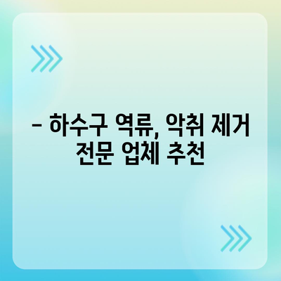 전라남도 장성군 황룡면 하수구막힘 | 가격 | 비용 | 기름제거 | 싱크대 | 변기 | 세면대 | 역류 | 냄새차단 | 2024 후기