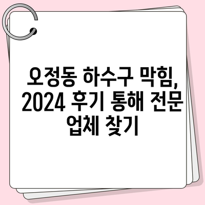 대전시 대덕구 오정동 하수구막힘 | 가격 | 비용 | 기름제거 | 싱크대 | 변기 | 세면대 | 역류 | 냄새차단 | 2024 후기