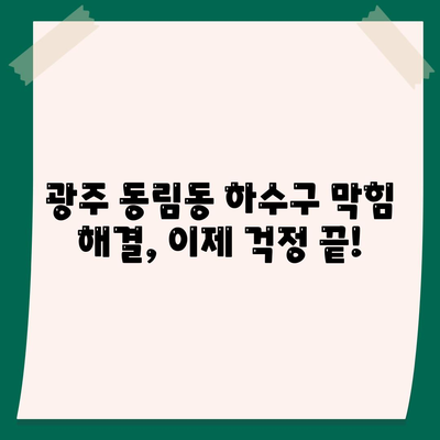 광주시 북구 동림동 하수구막힘 | 가격 | 비용 | 기름제거 | 싱크대 | 변기 | 세면대 | 역류 | 냄새차단 | 2024 후기