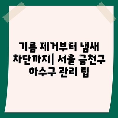 서울시 금천구 시흥제1동 하수구막힘 | 가격 | 비용 | 기름제거 | 싱크대 | 변기 | 세면대 | 역류 | 냄새차단 | 2024 후기