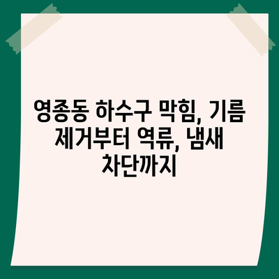 인천시 중구 영종동 하수구막힘 | 가격 | 비용 | 기름제거 | 싱크대 | 변기 | 세면대 | 역류 | 냄새차단 | 2024 후기