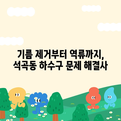 광주시 북구 석곡동 하수구막힘 | 가격 | 비용 | 기름제거 | 싱크대 | 변기 | 세면대 | 역류 | 냄새차단 | 2024 후기