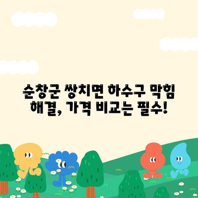 전라북도 순창군 쌍치면 하수구막힘 | 가격 | 비용 | 기름제거 | 싱크대 | 변기 | 세면대 | 역류 | 냄새차단 | 2024 후기