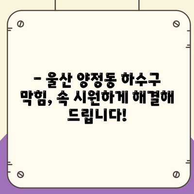 울산시 북구 양정동 하수구막힘 | 가격 | 비용 | 기름제거 | 싱크대 | 변기 | 세면대 | 역류 | 냄새차단 | 2024 후기