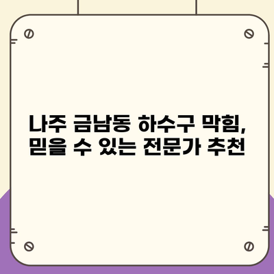 전라남도 나주시 금남동 하수구막힘 | 가격 | 비용 | 기름제거 | 싱크대 | 변기 | 세면대 | 역류 | 냄새차단 | 2024 후기