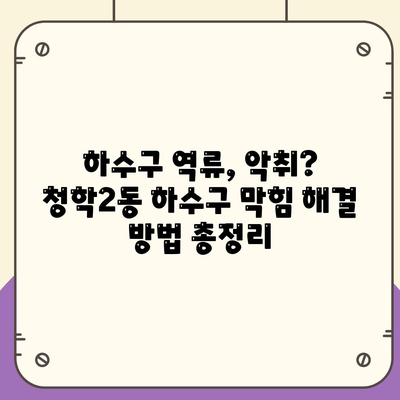 부산시 영도구 청학2동 하수구막힘 | 가격 | 비용 | 기름제거 | 싱크대 | 변기 | 세면대 | 역류 | 냄새차단 | 2024 후기